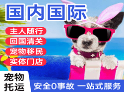 长沙黄花空运地址国际宠物托运 【国